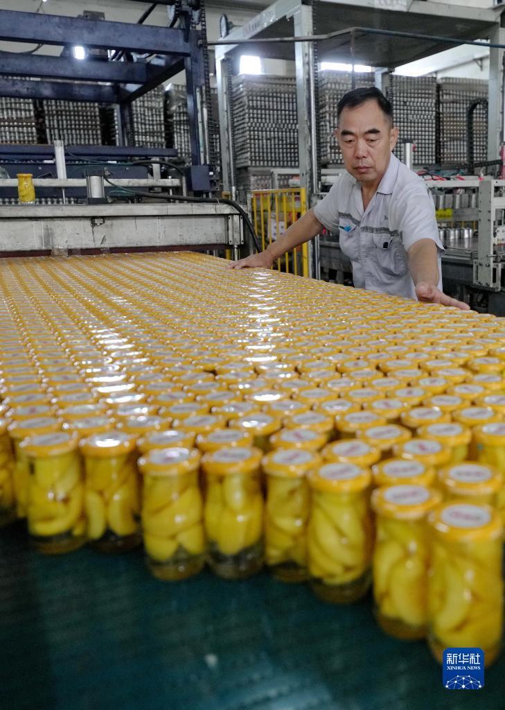 苹果老虎机怎么破解方法